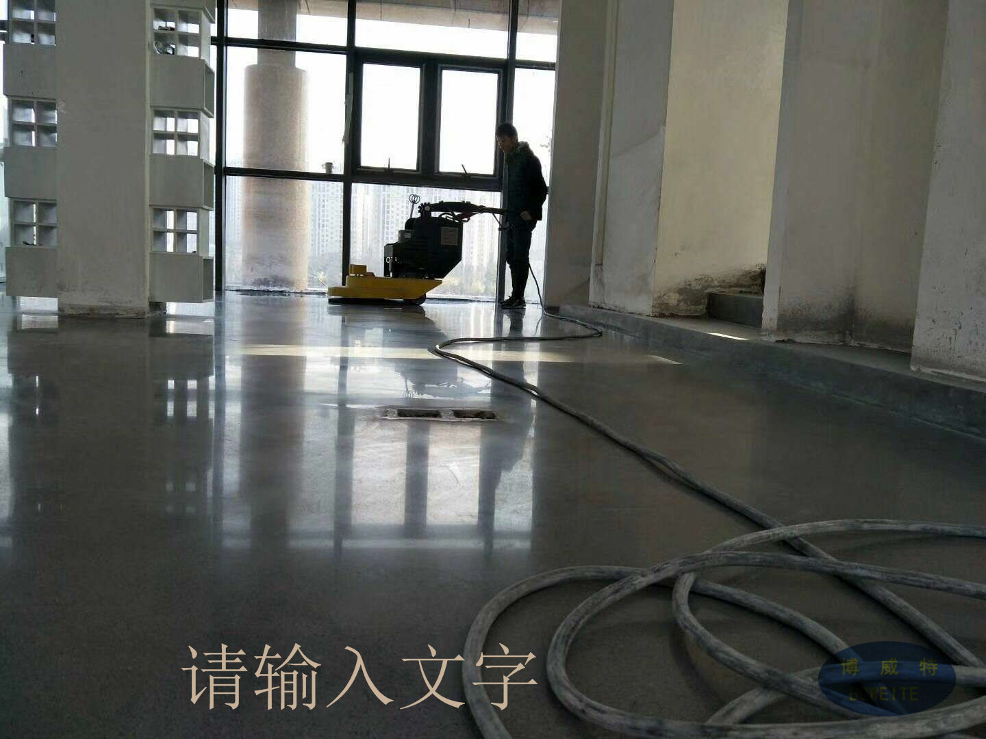無機榴莲视频大全圖片