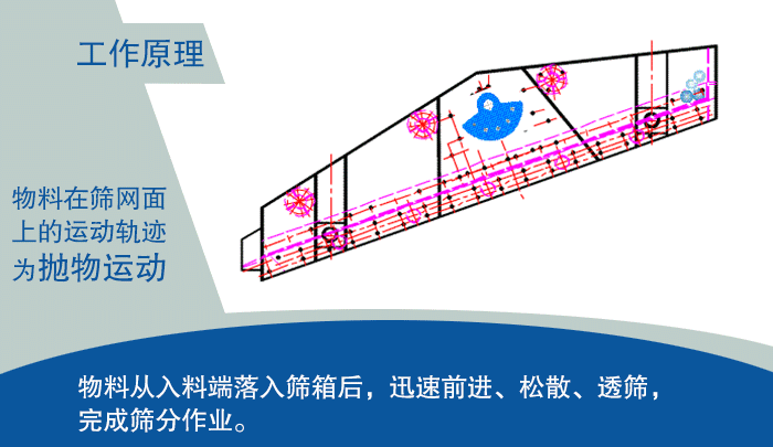 大型榴莲视频大全