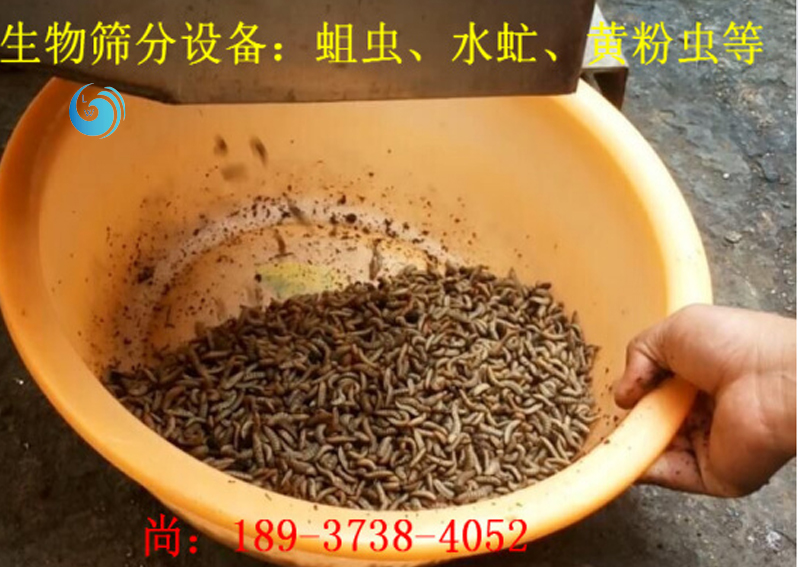 蛆蟲篩選3層榴莲视频APP下载